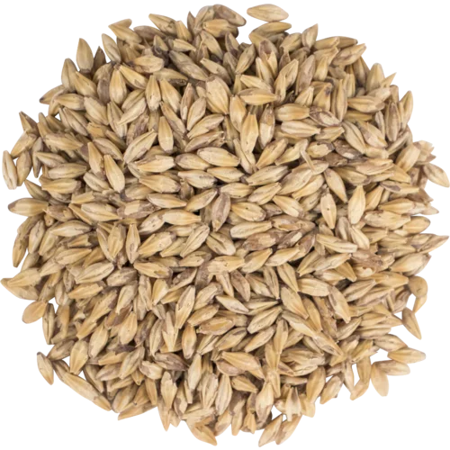 howdybrewer12000657