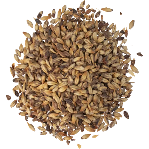 howdybrewer12022766