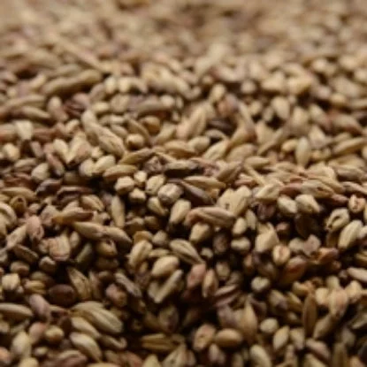 howdybrewer12023082