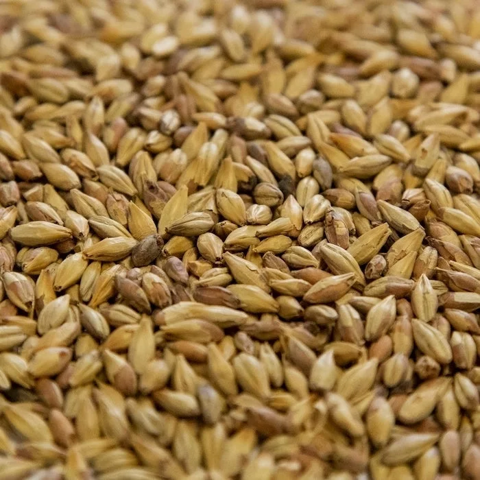 howdybrewer12025954